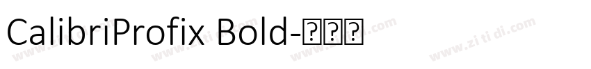 CalibriProfix Bold字体转换